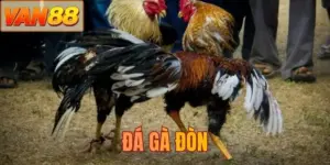 Đá gà đòn