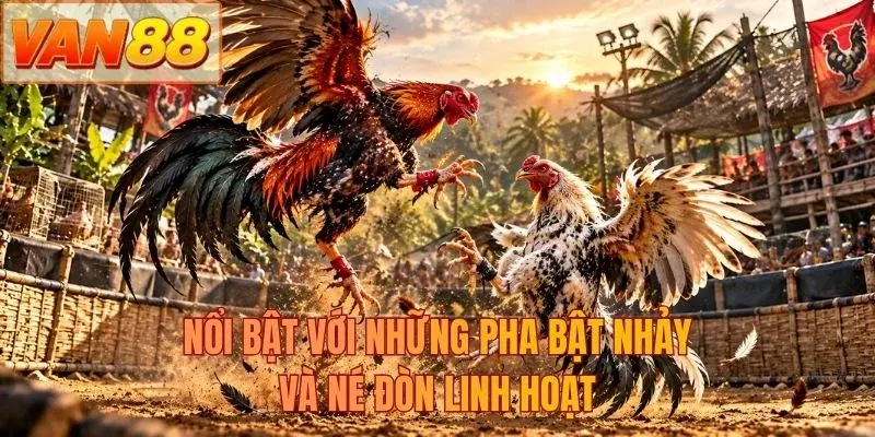 Nổi bật với những pha bật nhảy và né đòn linh hoạt