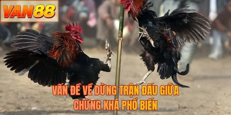 Vấn đề về dừng trận đấu giữa chừng khá phổ biến